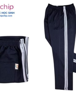 Quần thể dục